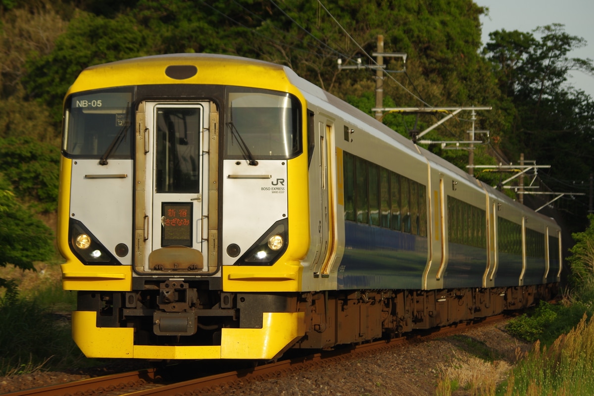 JR東日本 幕張車両センター本区 E257系 マリNB-05編成