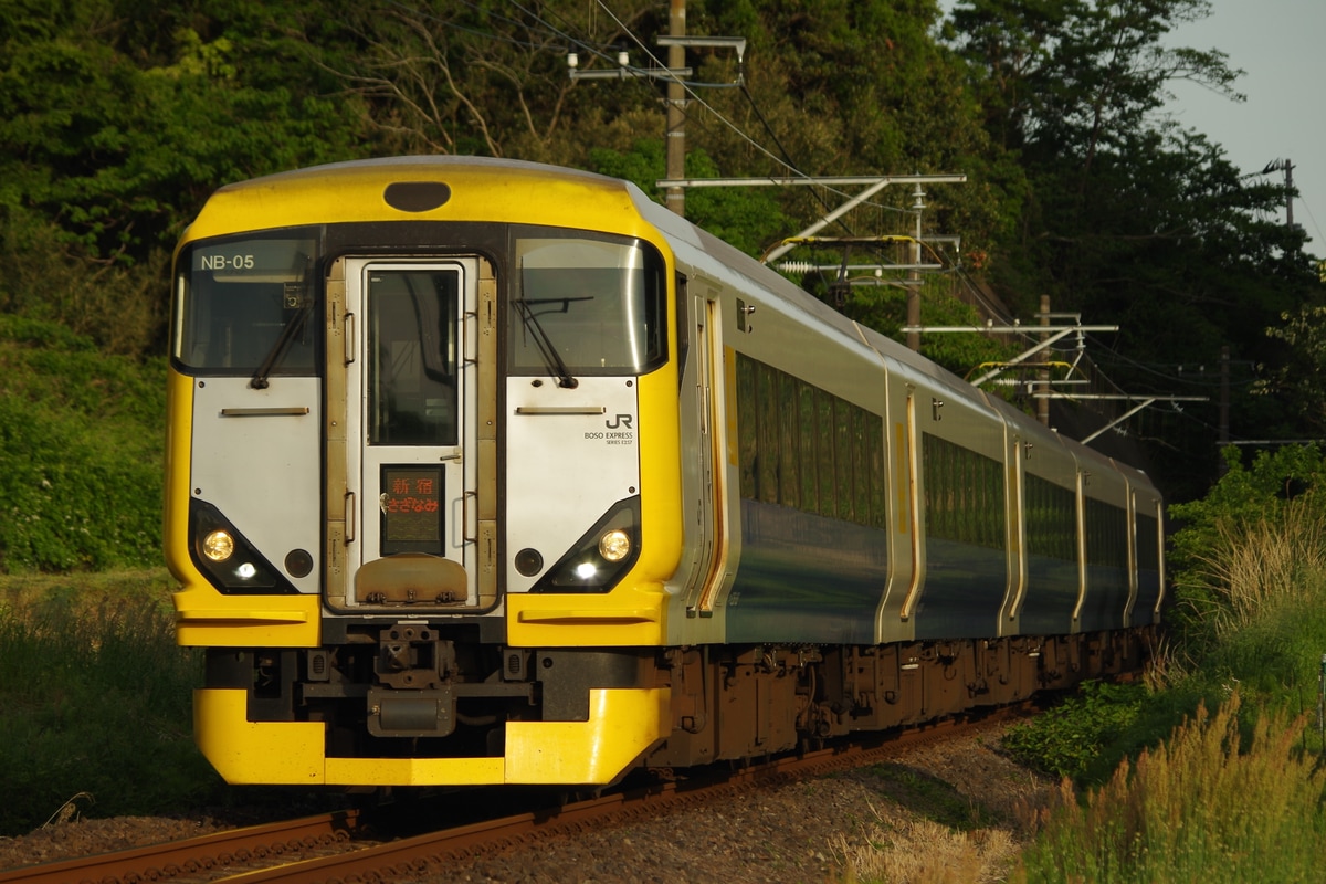 JR東日本 幕張車両センター本区 E257系 マリNB-05編成