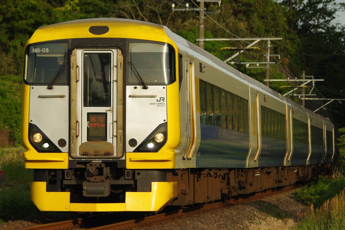 JR東日本 幕張車両センター本区 E257系 マリNB-05編成