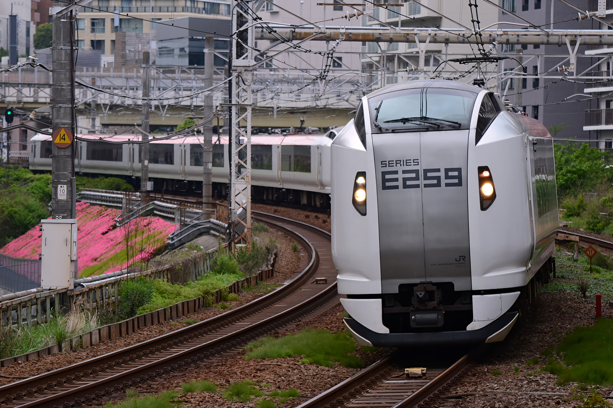 JR東日本 鎌倉車両センター本所 E259系 クラNe013編成