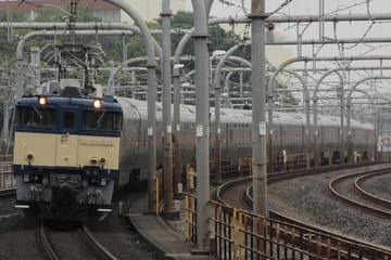 Uploaded Picture