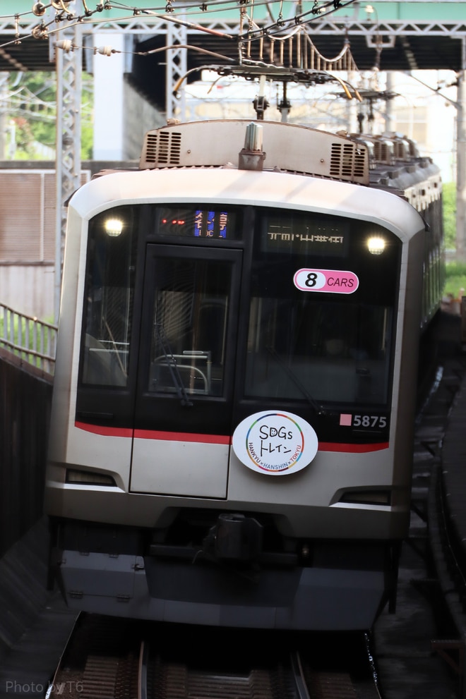 byT6