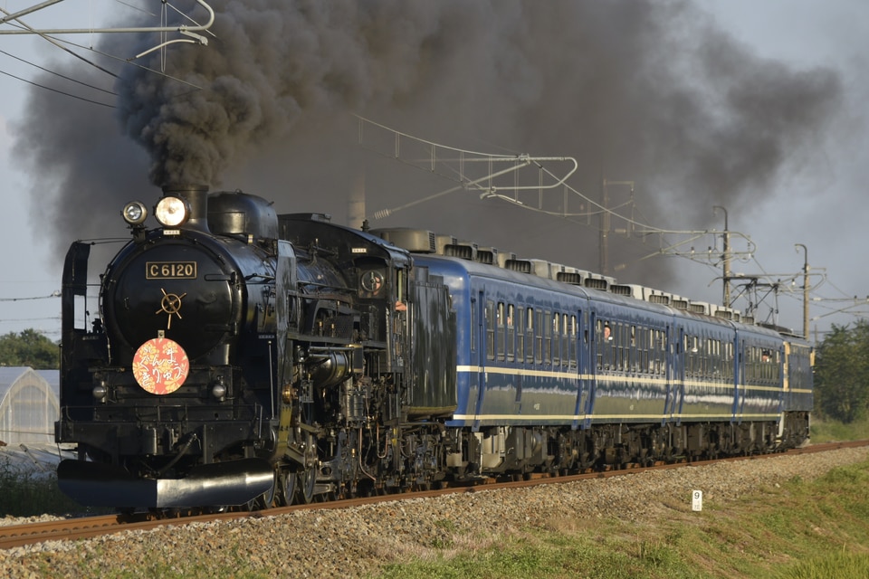 JR東C61形C61-20の写真