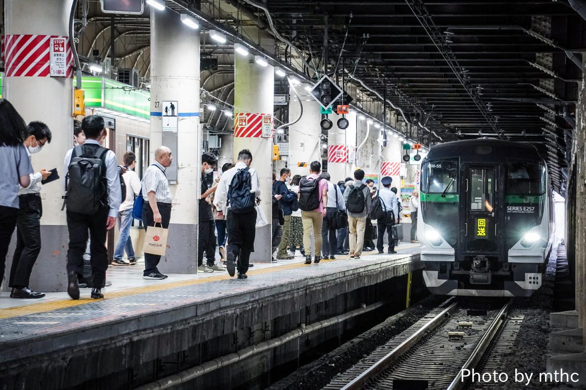 JR東日本 大宮総合車両センター東大宮センター E257系 オオOM-55編成
