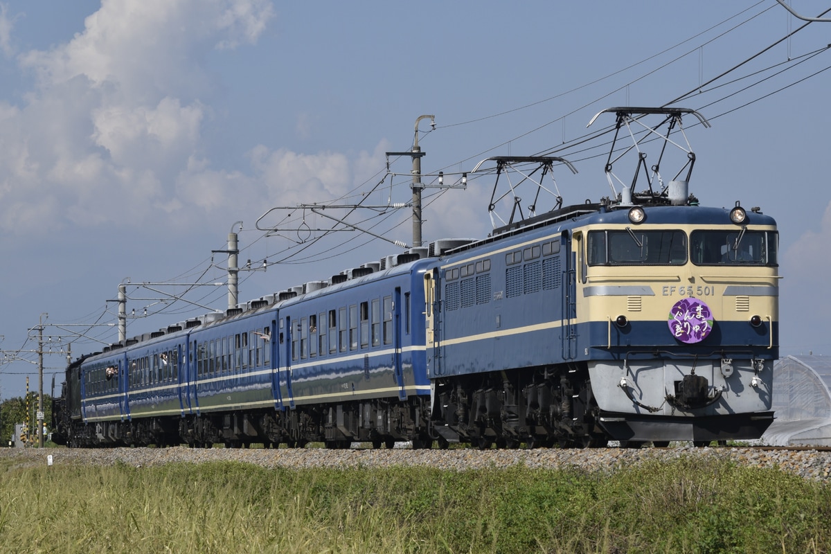 JR東日本 ぐんま車両センター EF65形 EF65-501