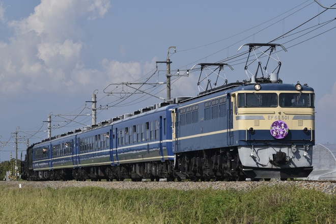 ぐんま車両センターEF65形EF65-501を駒形～伊勢崎間で撮影した写真
