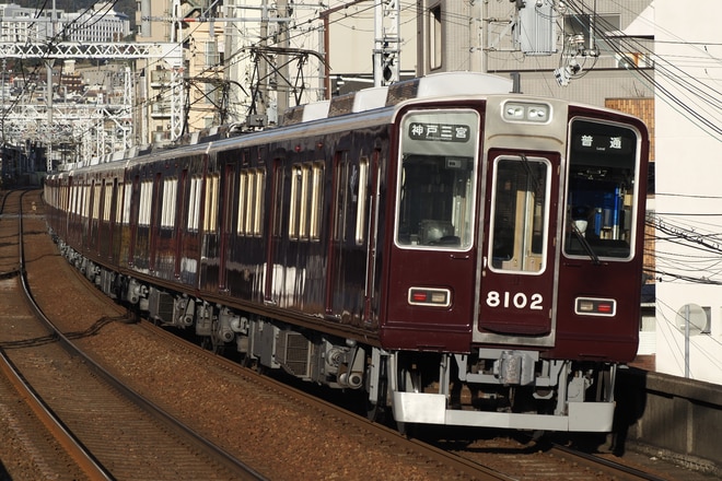 byささの