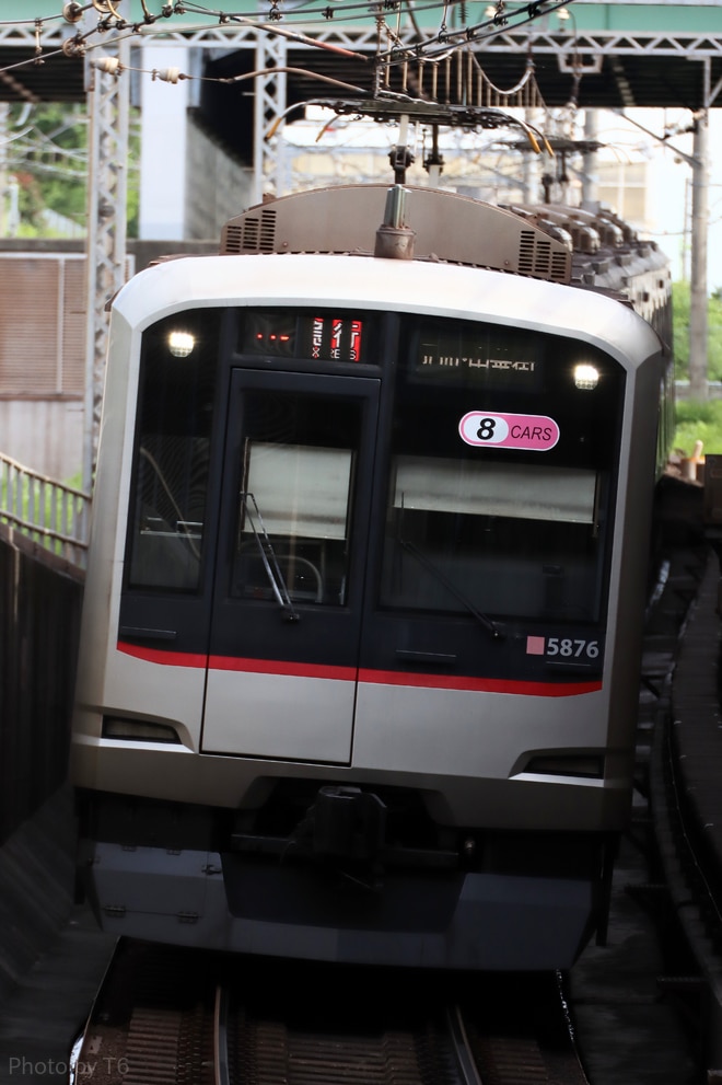 byT6