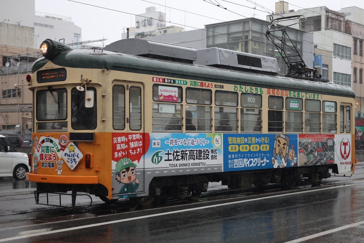 とさでん交通 桟橋車庫 800形 803