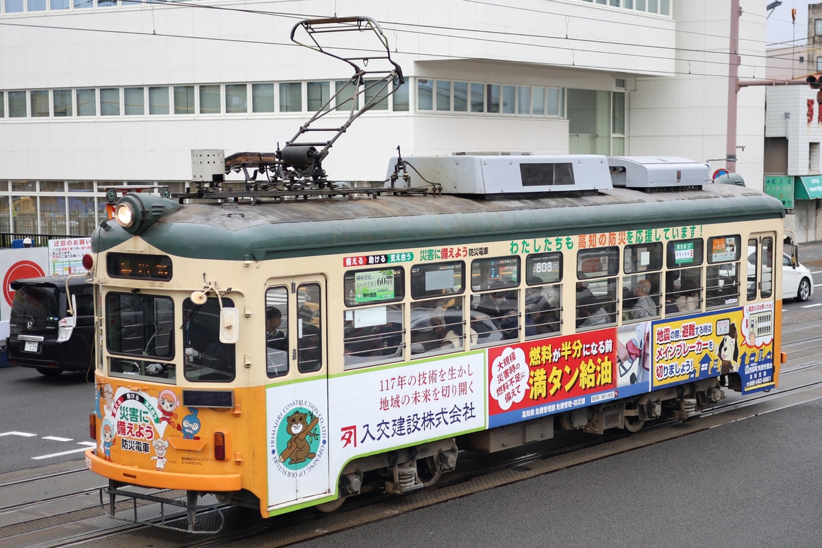 とさでん交通 桟橋車庫 800形 803