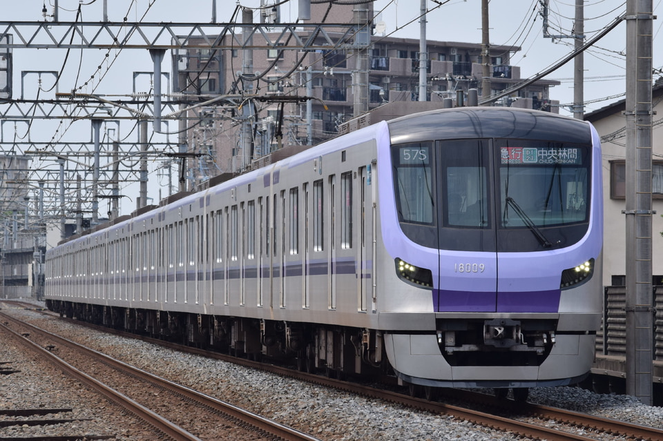 【8月18日まで発送】oknmchnrさま専用 TransNana on X: 
