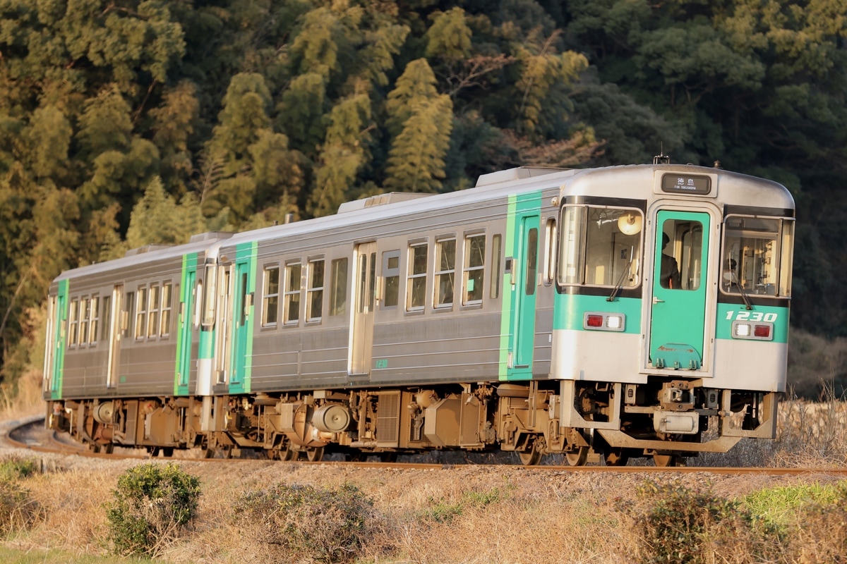 JR四国 徳島運転所 1200形 1230