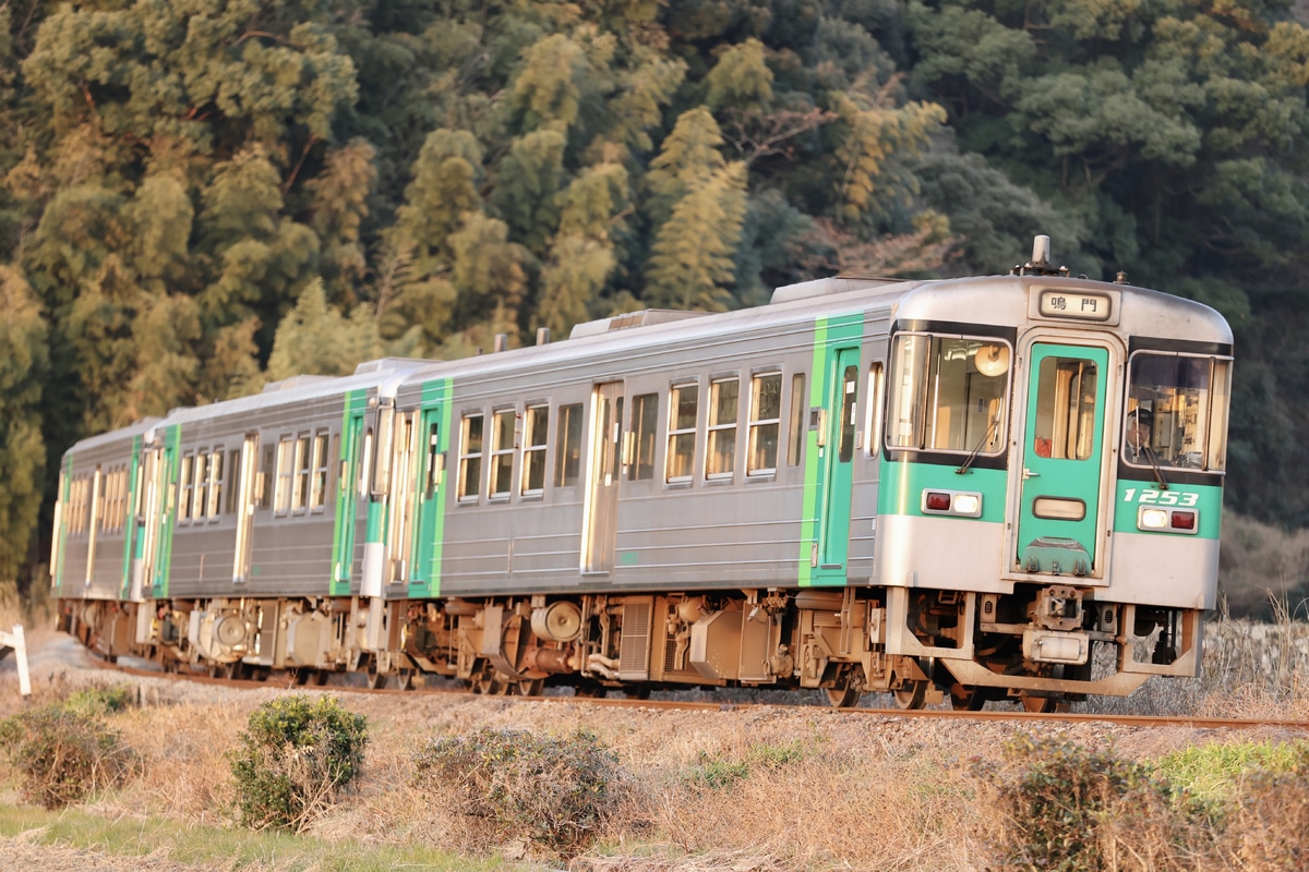 JR四国 徳島運転所 1200系 1253