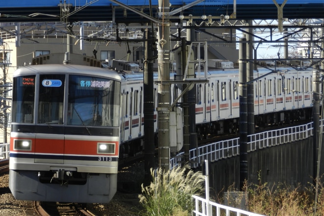 by情寂