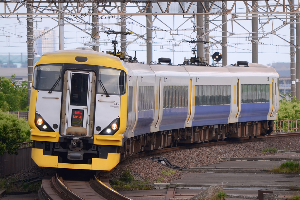 JR東日本 幕張車両センター E257系 マリNB-05編成