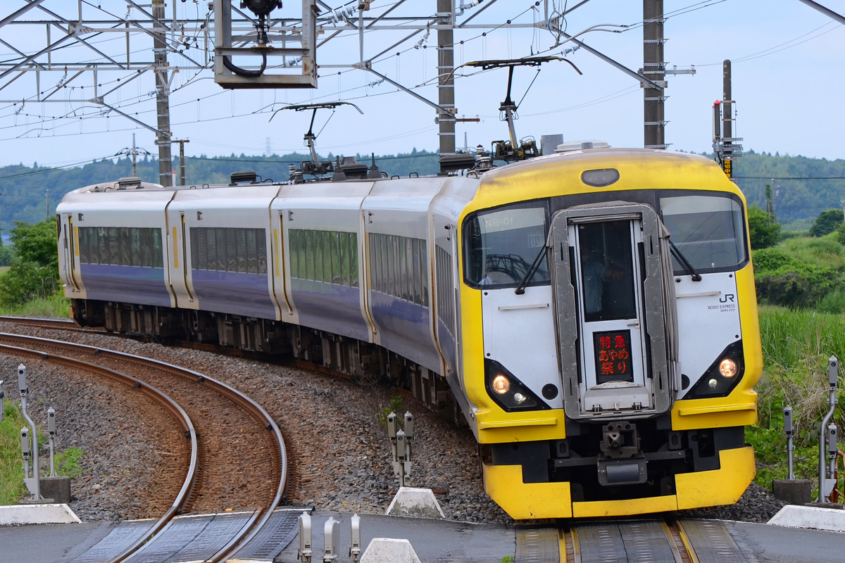 JR東日本 幕張車両センター E257系 マリNB-01編成