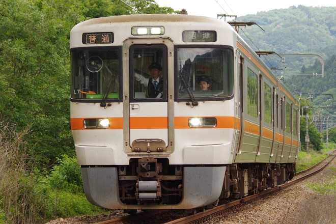 by山百合快特