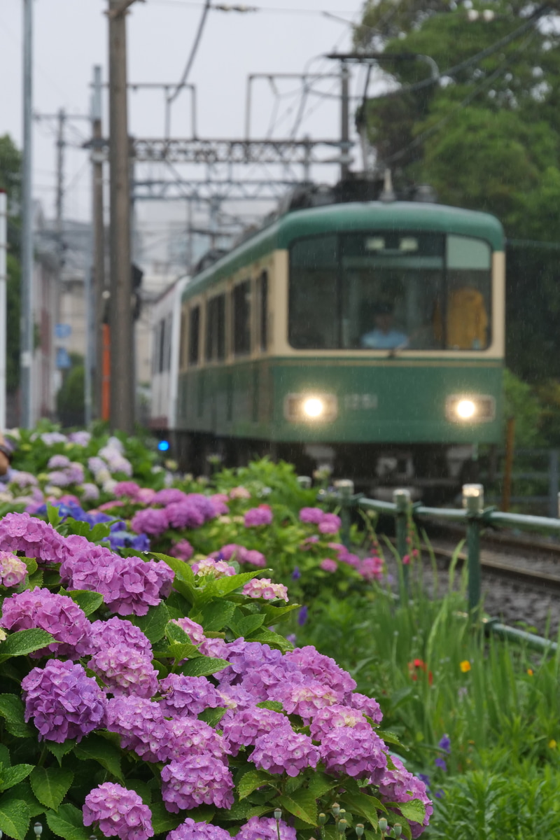 江ノ島電鉄 極楽寺検車区 1000形 1201F