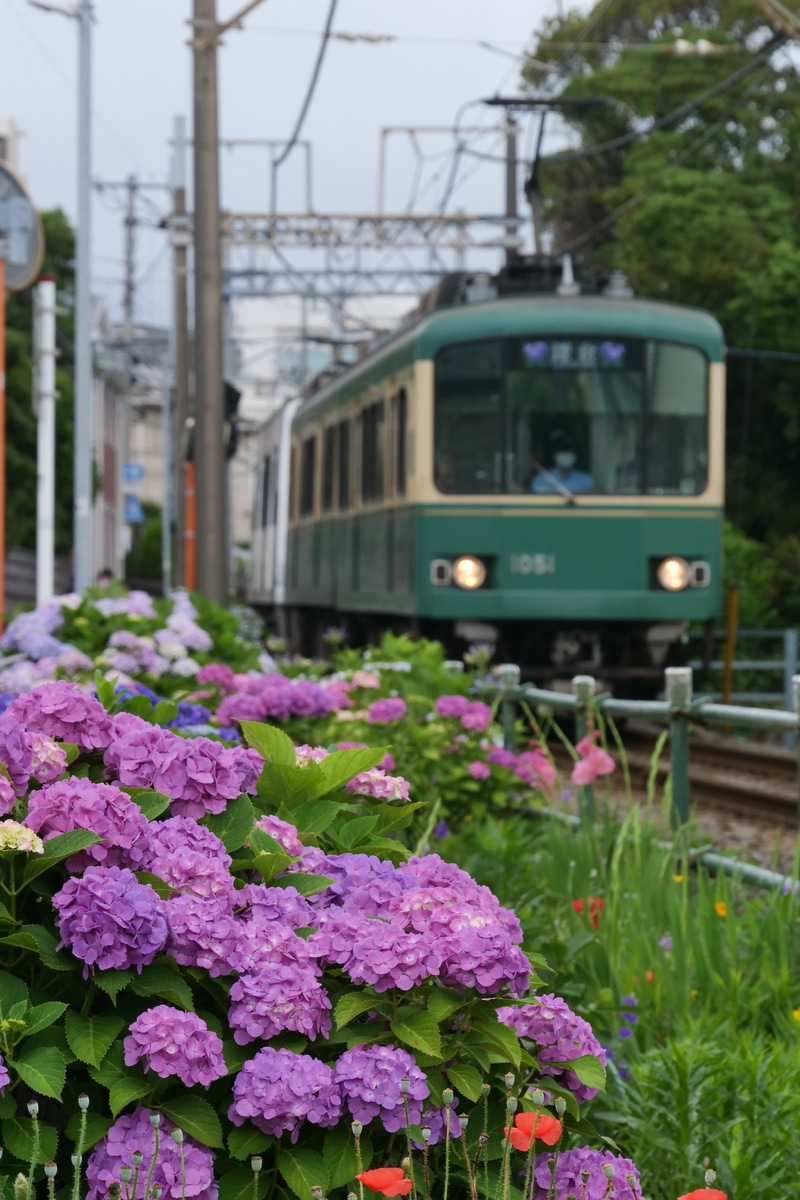 江ノ島電鉄 極楽寺検車区 1000形 1001F