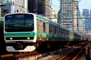 by松の木
