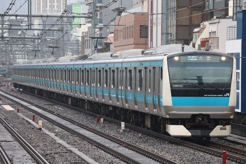 JR東E233系サイ125編成<br class="br-sp" />(ウラ125編成)の写真