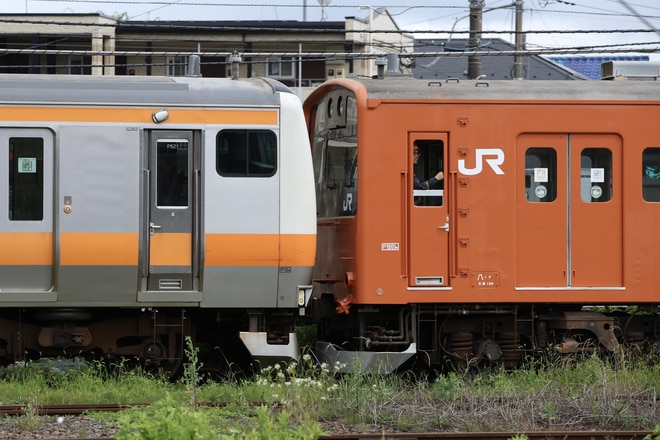 bySF