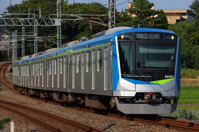 byT6