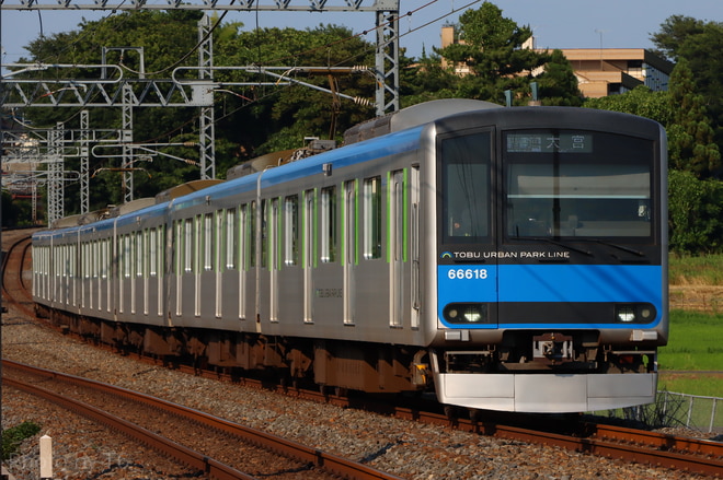 byT6