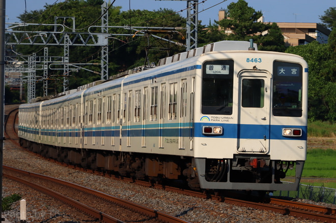 byT6