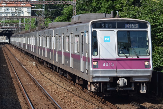 byみどりがおか