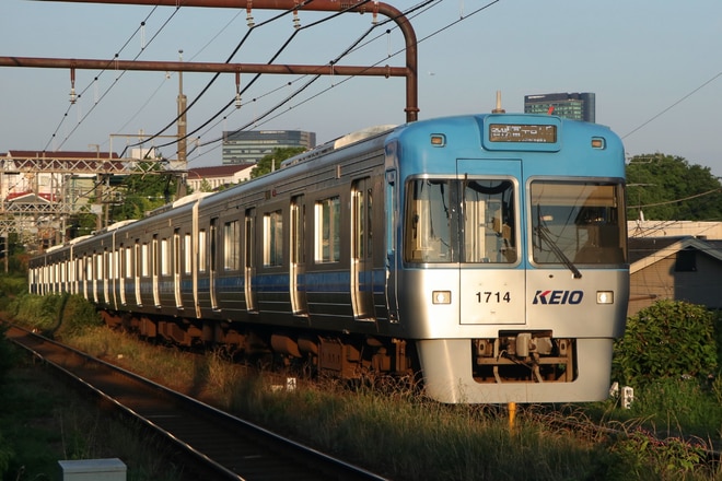 byみどり