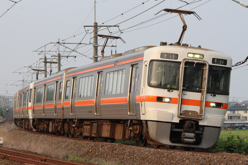 JR海313系シンB501編成<br class="br-sp" />(B501編成)の写真