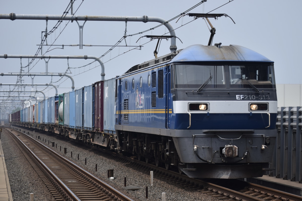 JR貨物 新鶴見機関区 EF210 313