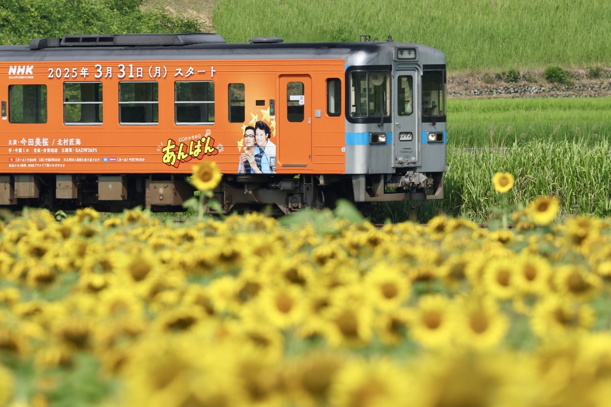 JR四国 高知運転所 1000形 1034