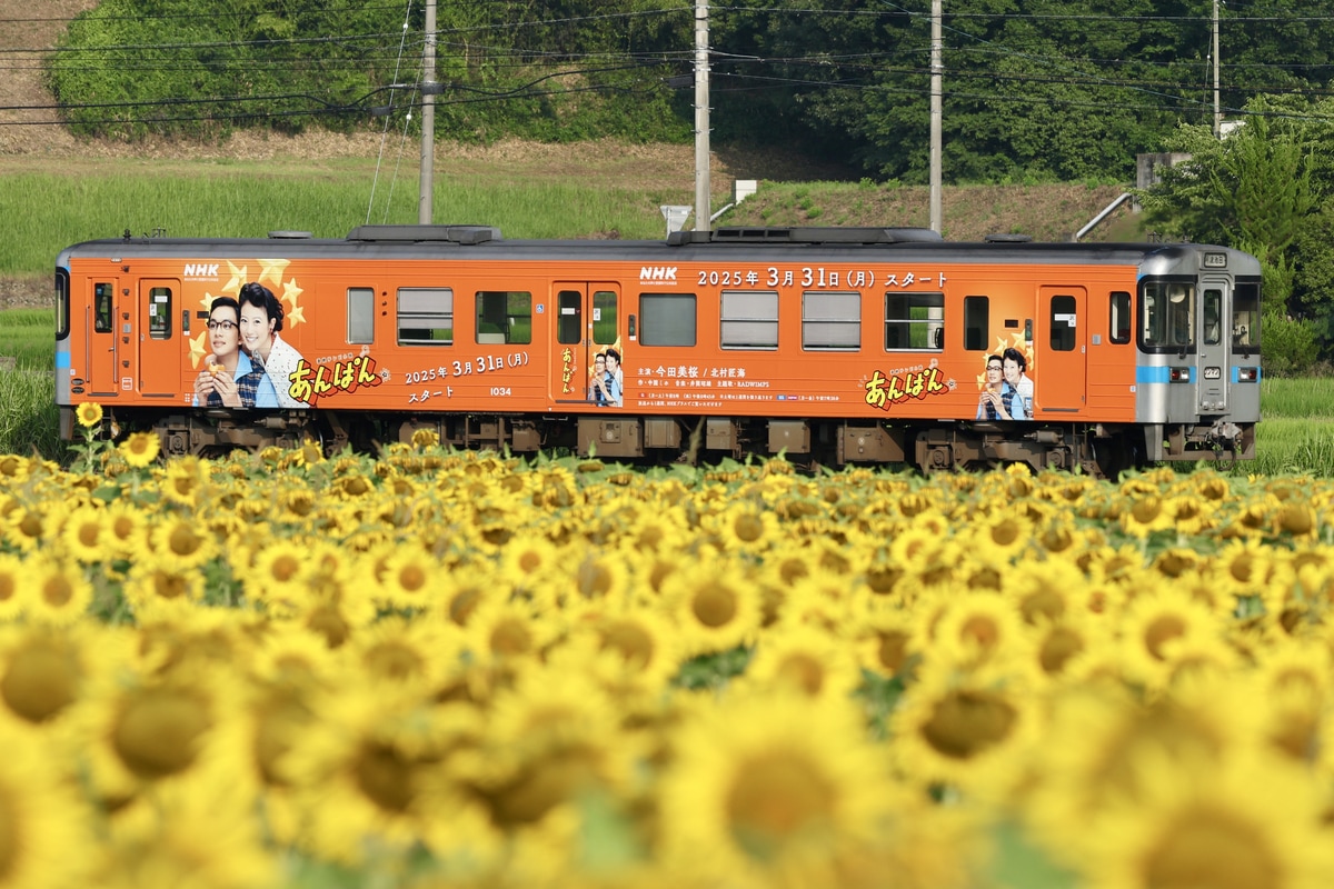 JR四国 高知運転所 1000形 1034