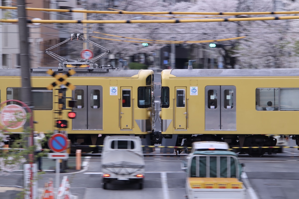 西武鉄道 新宿線車両所南入曽車両基地（旧・南入曽車両管理所 2000系 