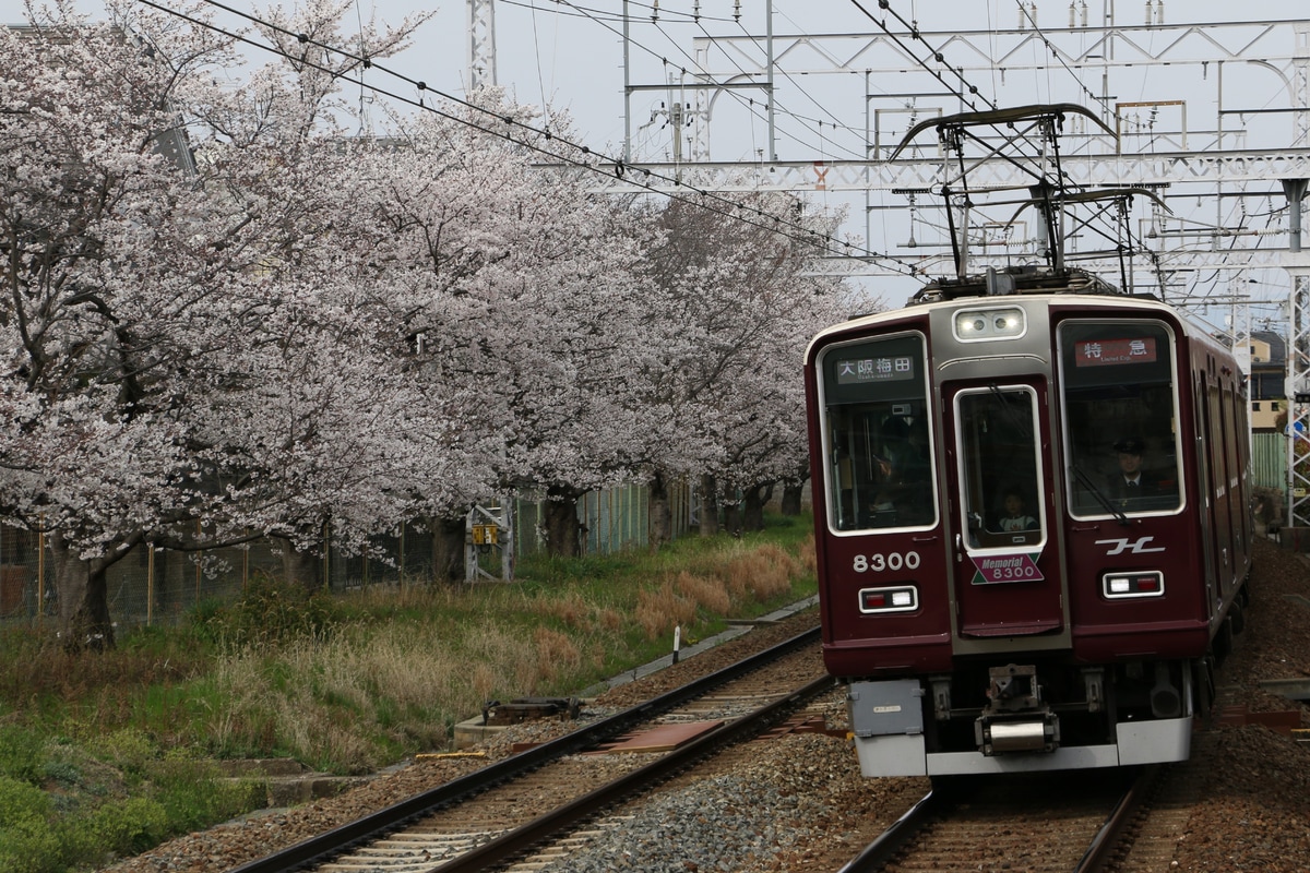 阪急電鉄 正雀車庫 8300系 8300F