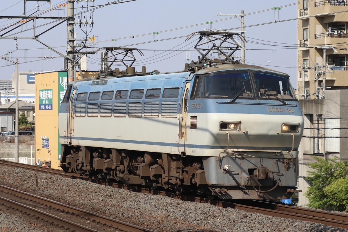 JR貨物 吹田機関区 EF66形 EF66-123