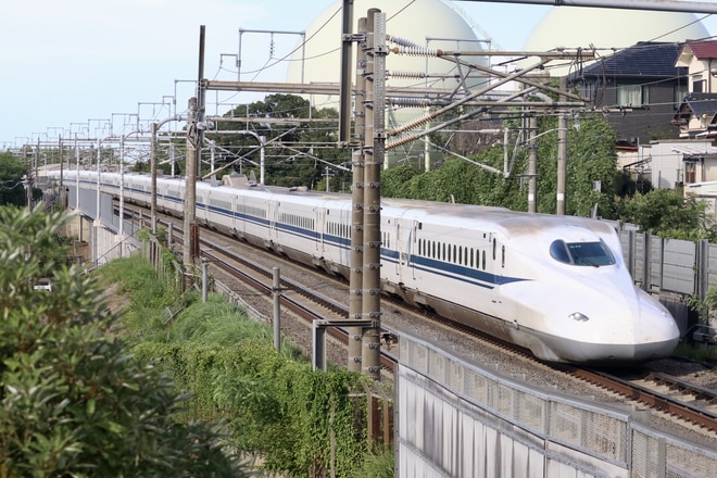 N700A 座面 座席探訪 N700系1000/4000番台 「N700Advanced」