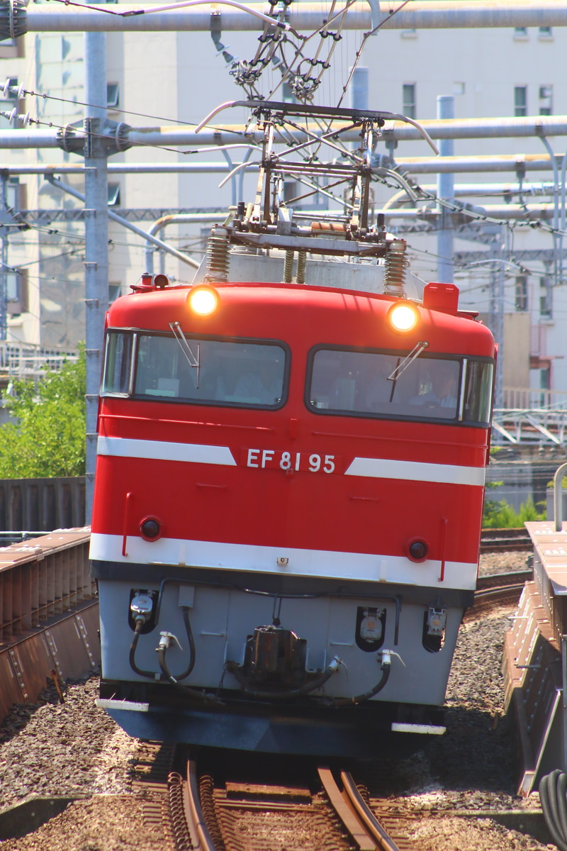 JR東日本 尾久車両センター EF81 95