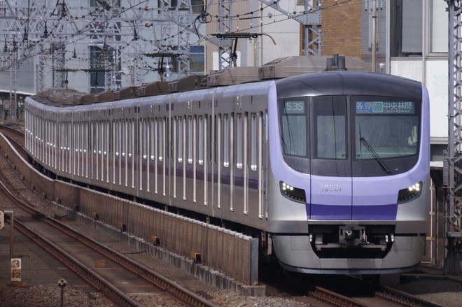 by情寂