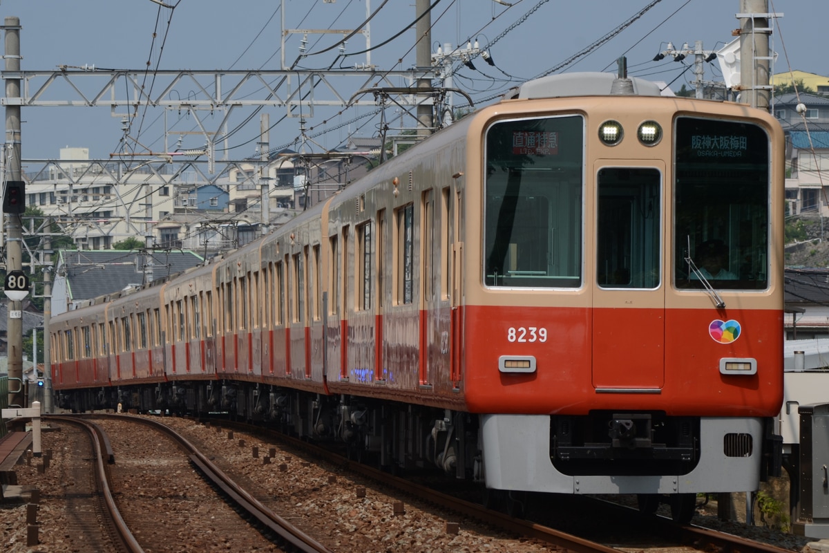 阪神電気鉄道 尼崎車庫 8000系 8239編成