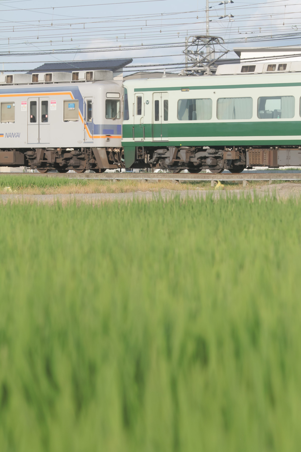 南海電気鉄道  10000系 10004f