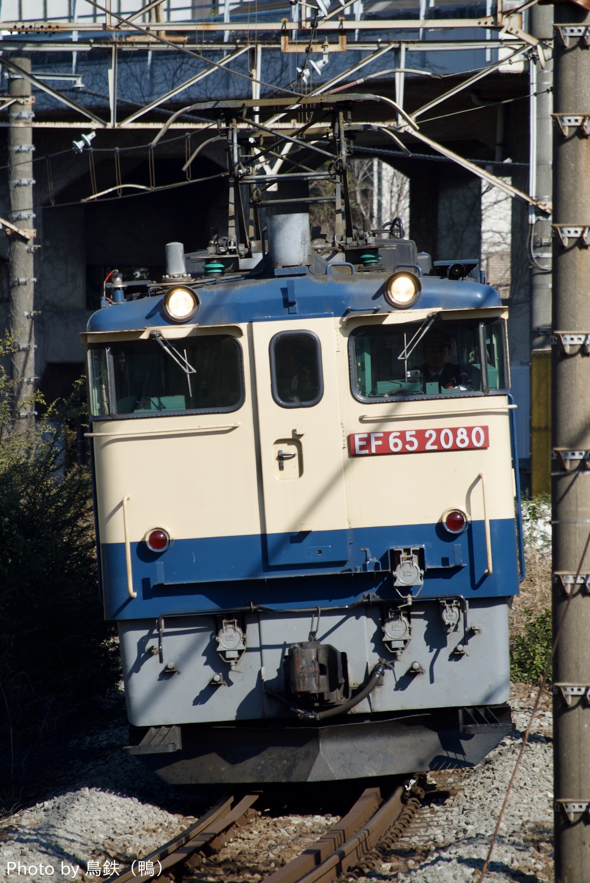 JR貨物 新鶴見機関区 EF65 2080