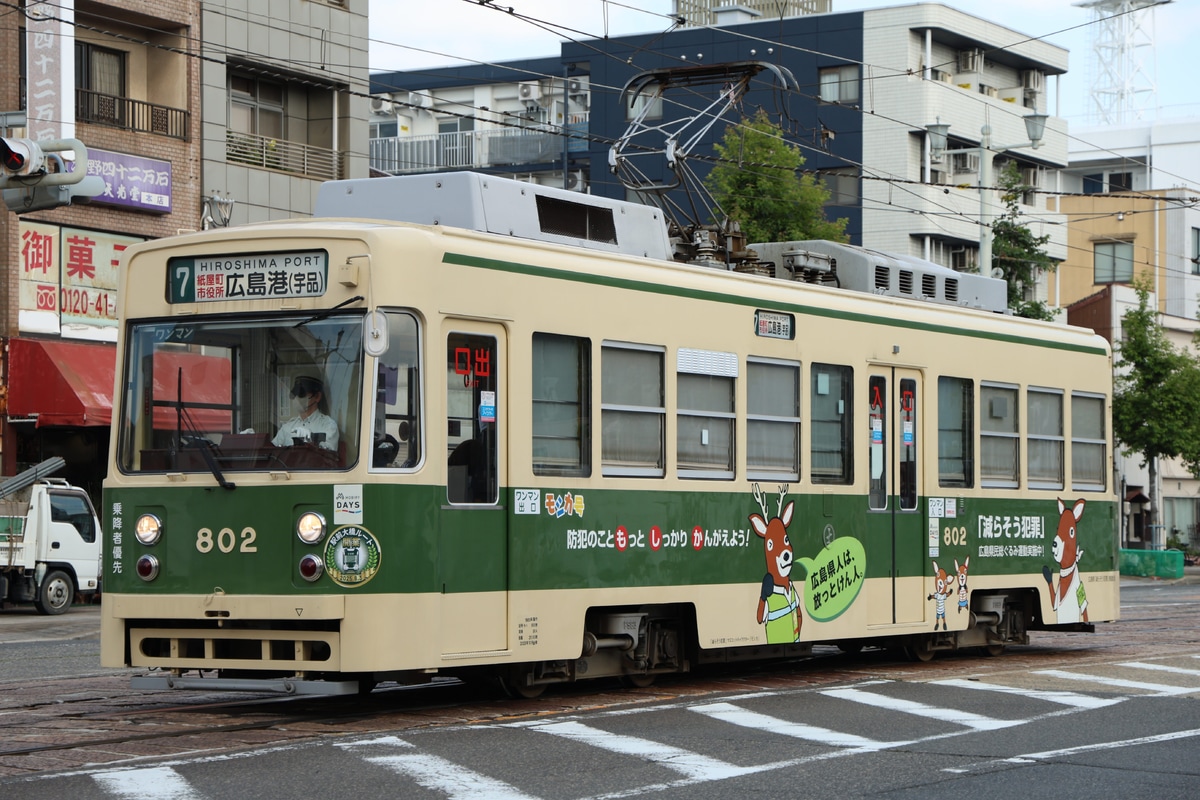広島電鉄 千田車庫 800形 802