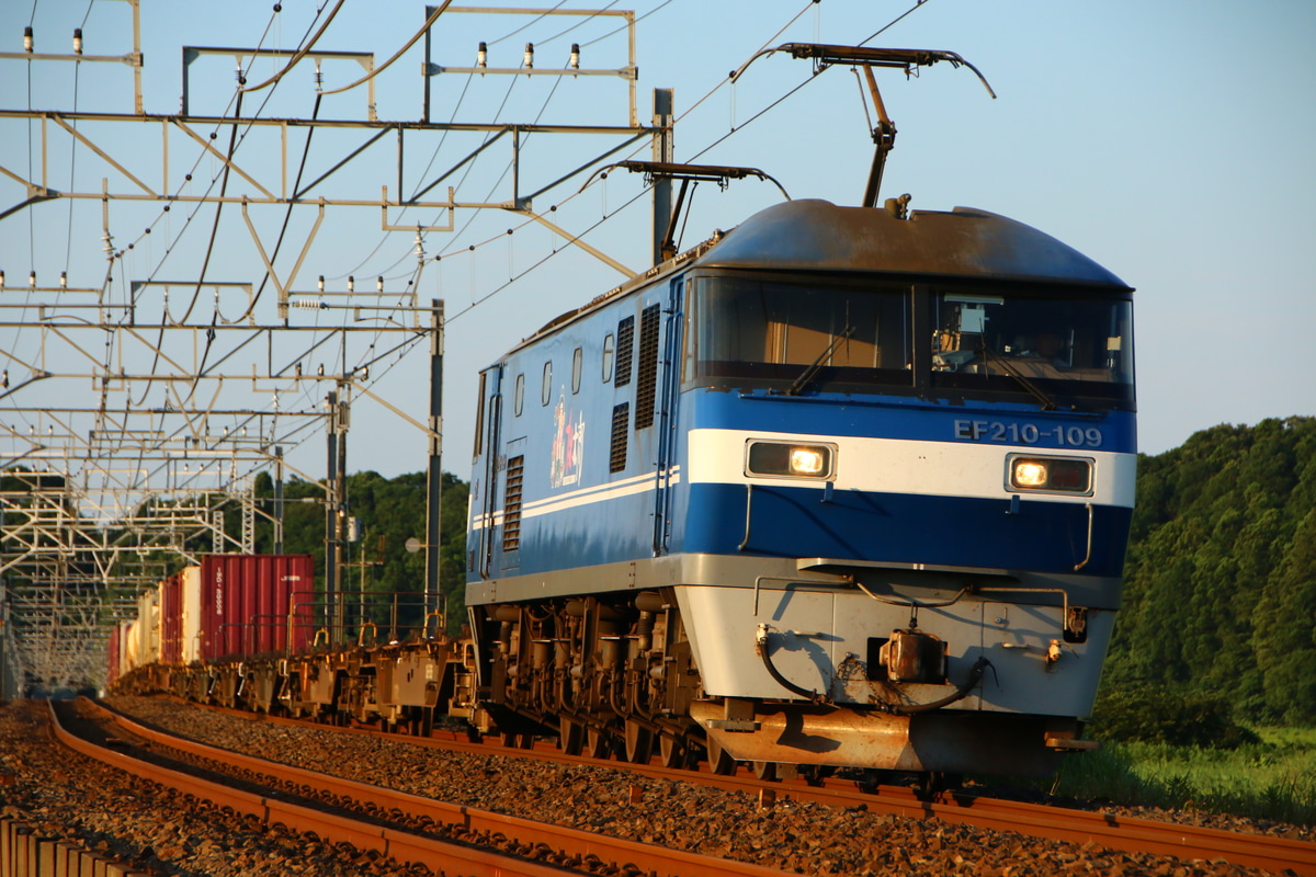 JR貨物 新鶴見機関区 EF210 109