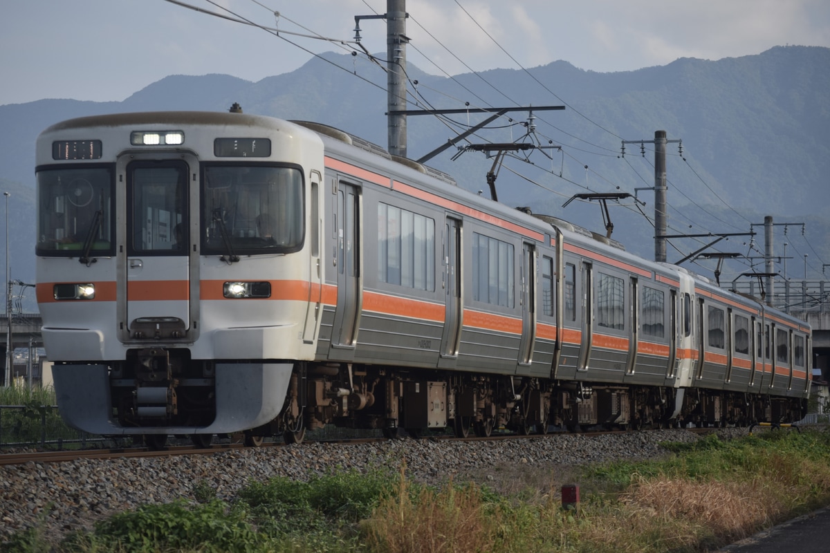 JR東海 静岡車両区 313系 シスL3編成