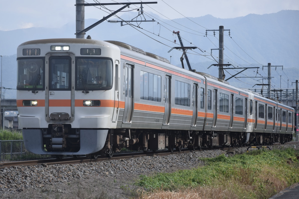 JR東海 静岡車両区 313系 シスL3編成