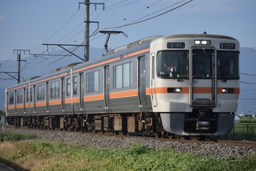JR東海313系シスN4編成を常永～小井川間で撮影した画像