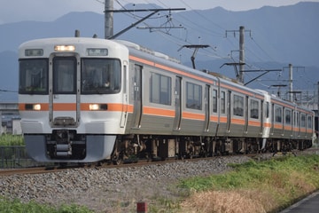 JR東海313系シスV4編成を小井川～常永間で撮影した画像